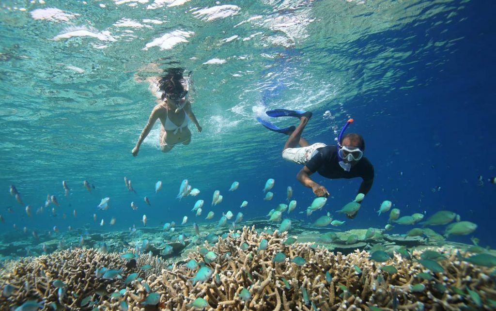 Mejor Snorkel en Maldivas: buceando en el  Anantara Kihavah Villas  