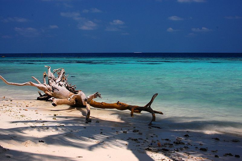 Maafushi en Maldivas