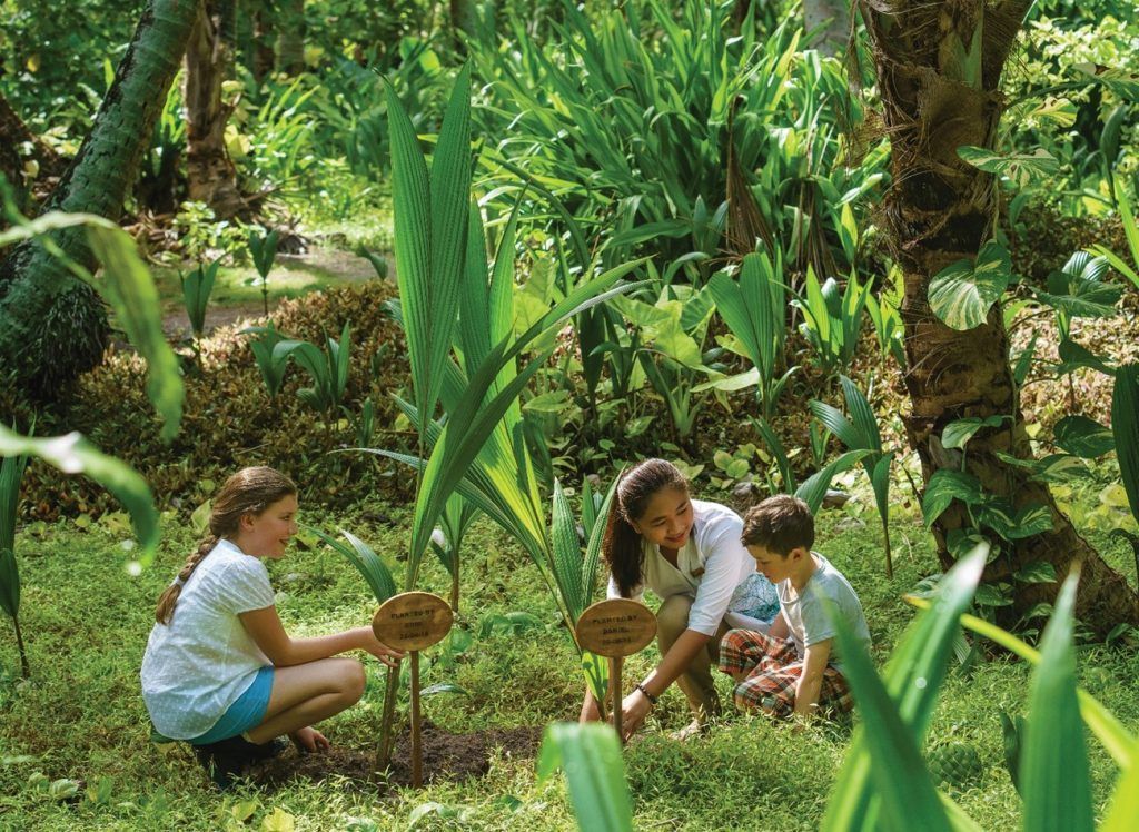 Niños plantando palmeras en el Kid Club del Shangri La Villingili Resort