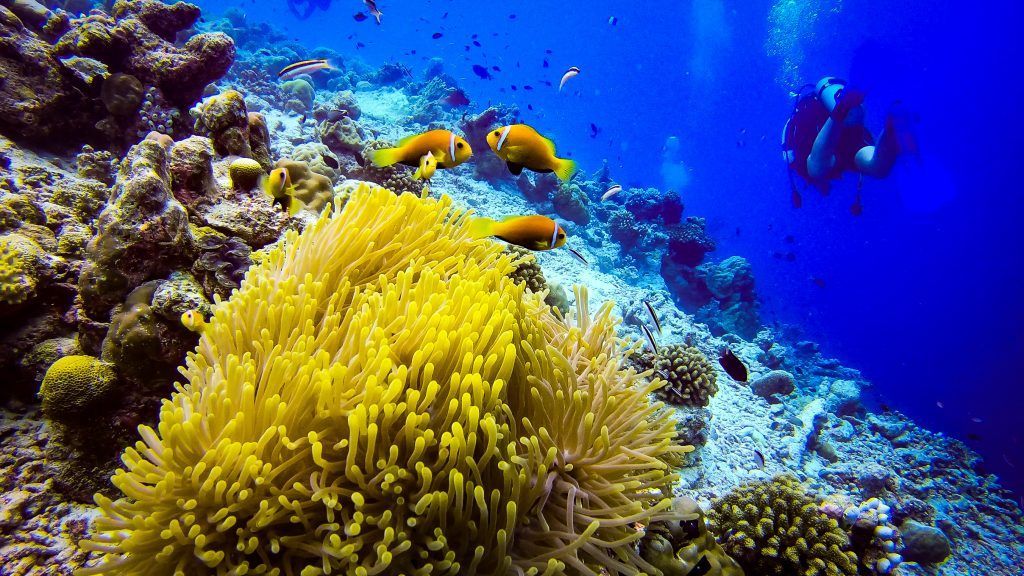Arrecife Rasdhoo Madivaru