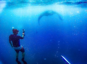 Mantarrayas Maldivas