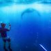 Mantarrayas Maldivas