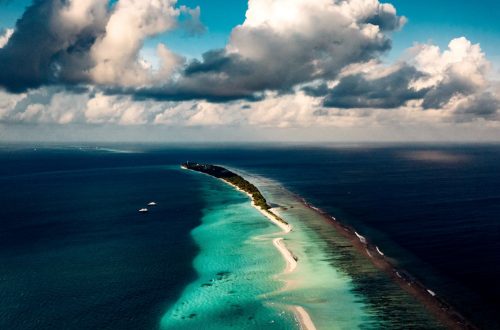 Dhigurah Maldivas tiburón ballena