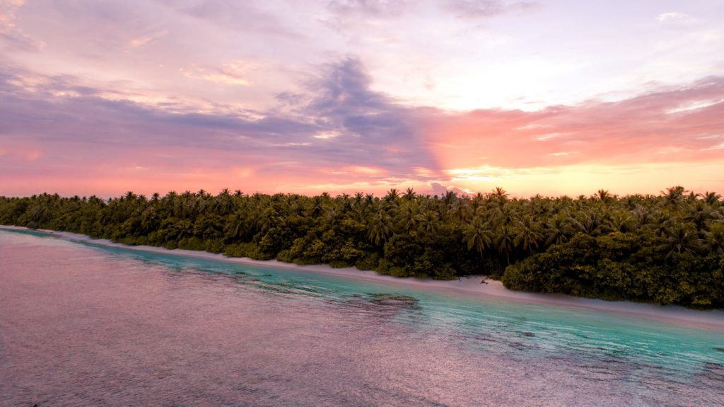 Dhigurah Maldivas tiburón ballena